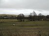 DSCN7704.JPG